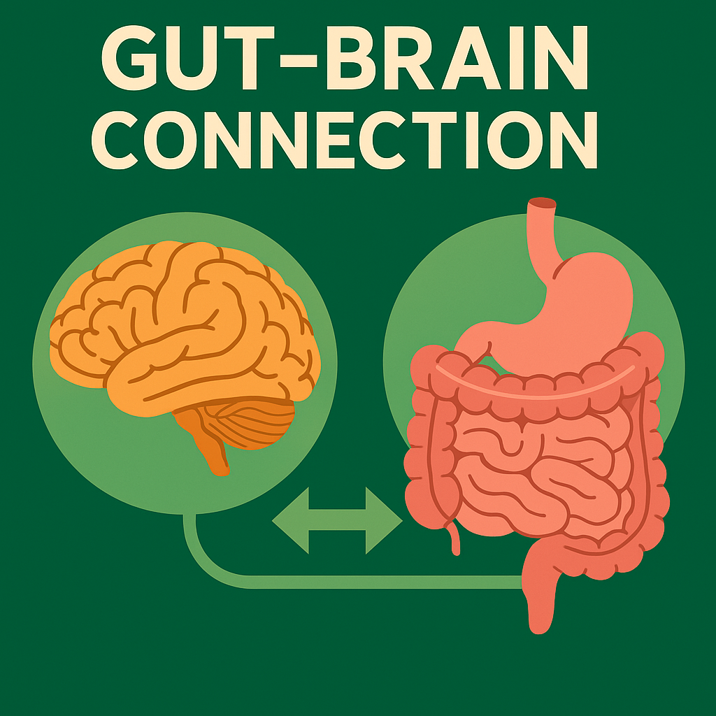 How Your Gut Health Shapes Your Brain – The Science Behind the Gut–Brain Connection